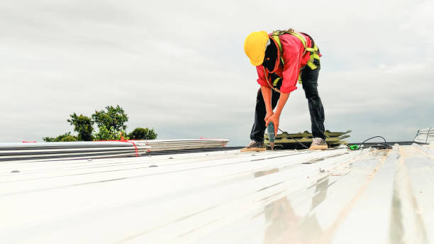 Best Commercial Roofing Services  in Meadow Oaks, FL