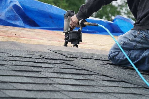 Best Green or Eco-Friendly Roofing Solutions  in Meadow Oaks, FL